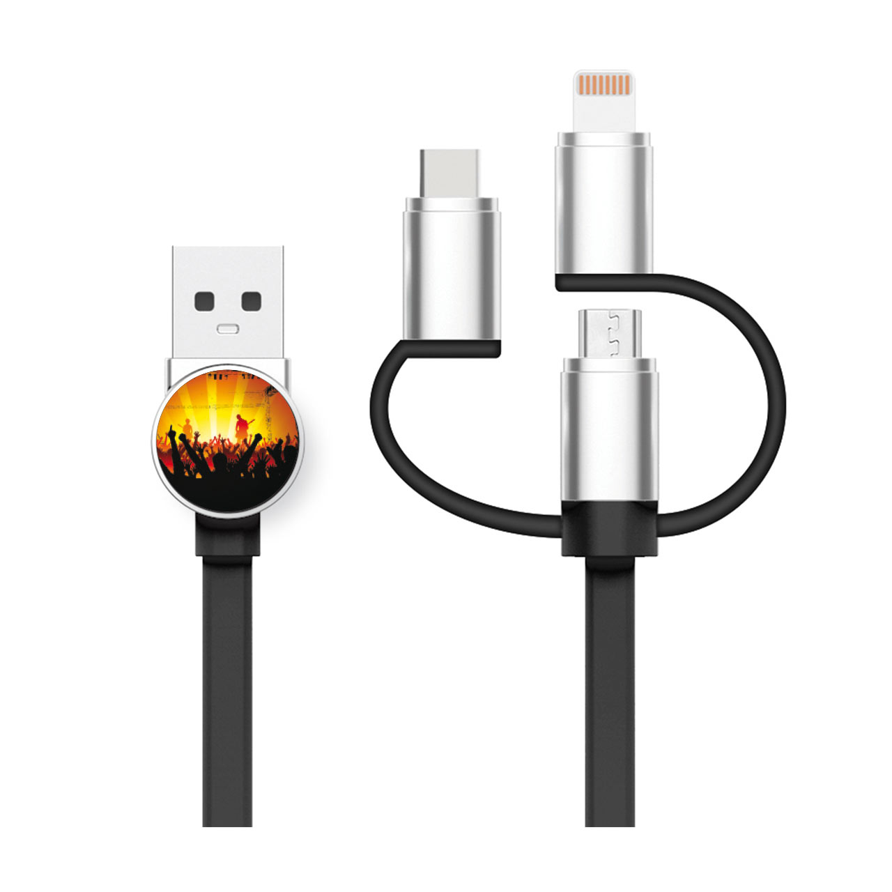 3 In 1 Logo Cable