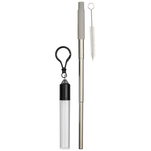 Zeya Reusable Stainless Steel Straw Keychain - Grey