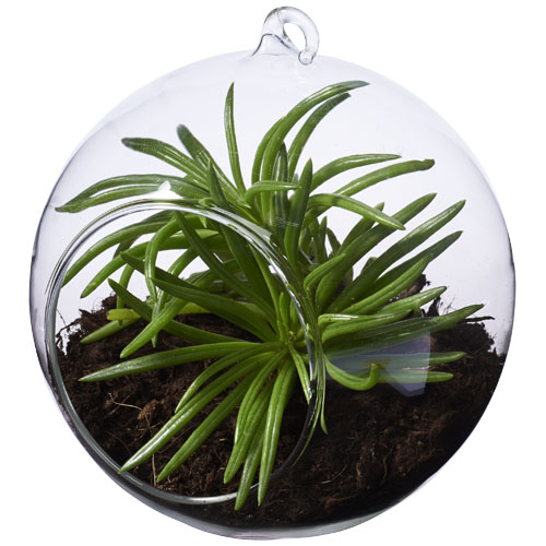 Sphere Terrarium - Transparent Clear