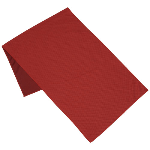 Alpha Fitness Towel - Red