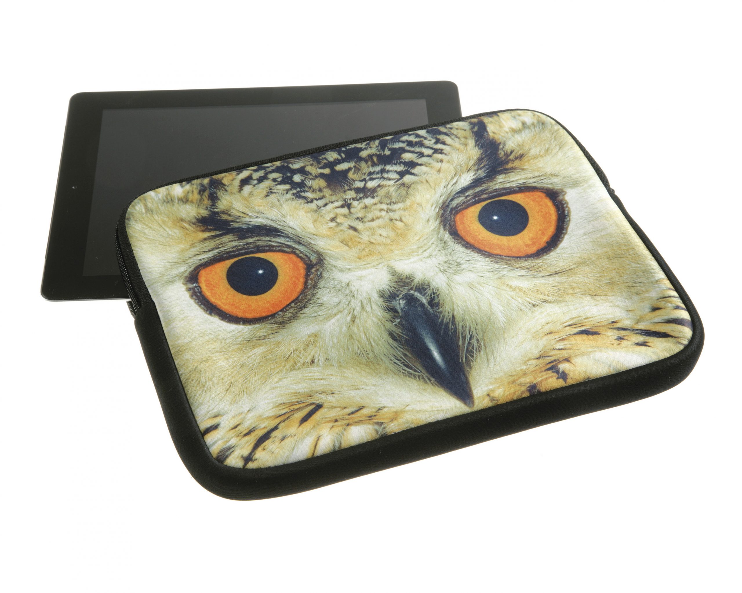 iPad Case
