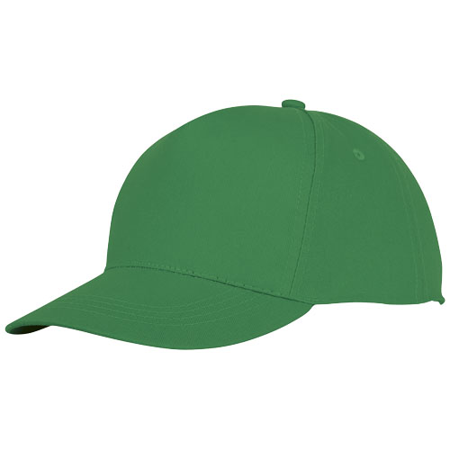 Hades 5 Panel Cap - Fern Green
