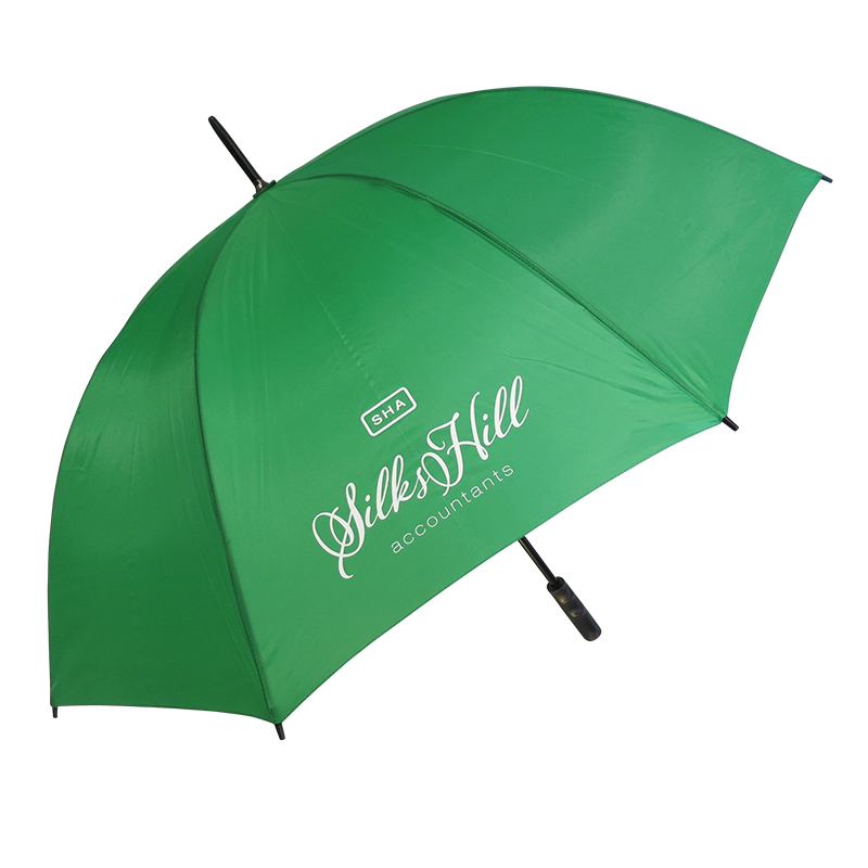 Budgetstorm Plus