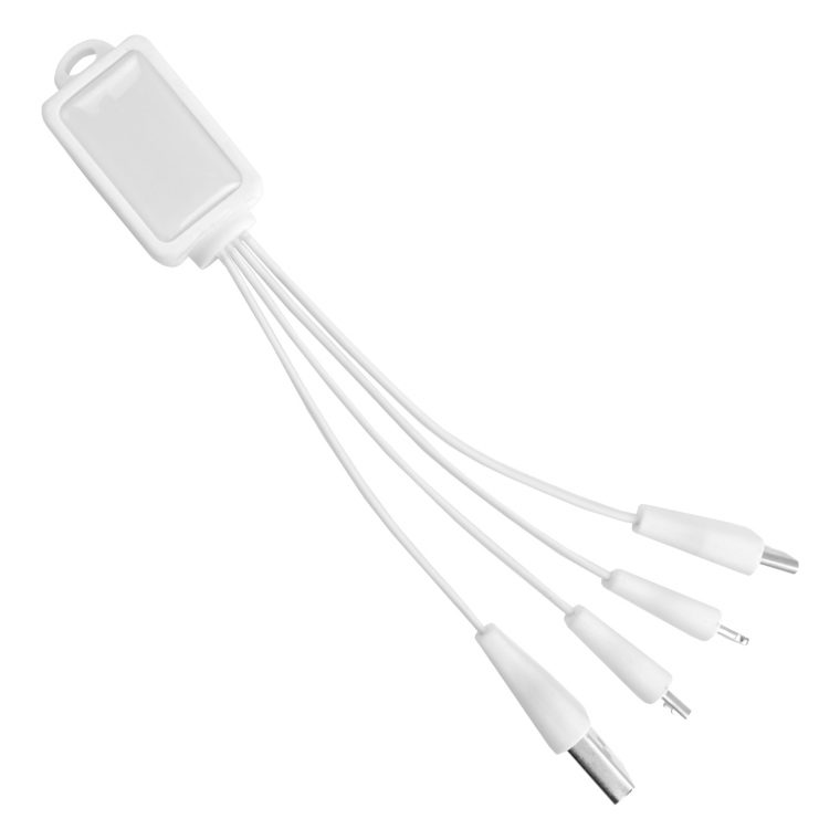 Smart 4 In 1 Cable