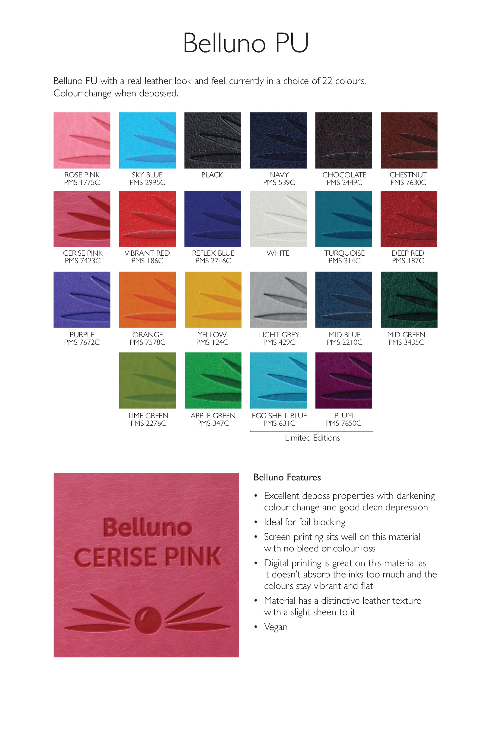 Belluno Coloured PU Large Zipped Pencil Or Cosmetics Case