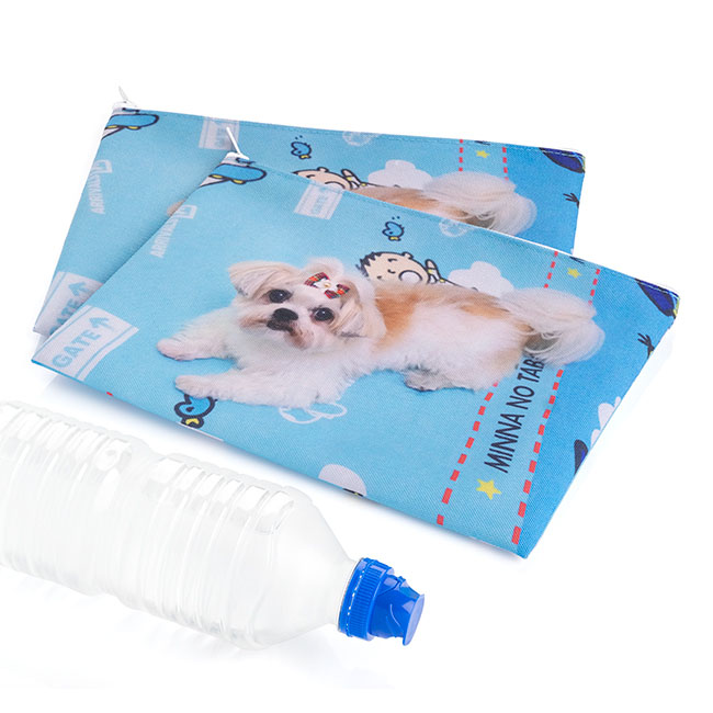 Cosmetic / Toiletry Rpet Bag, A5