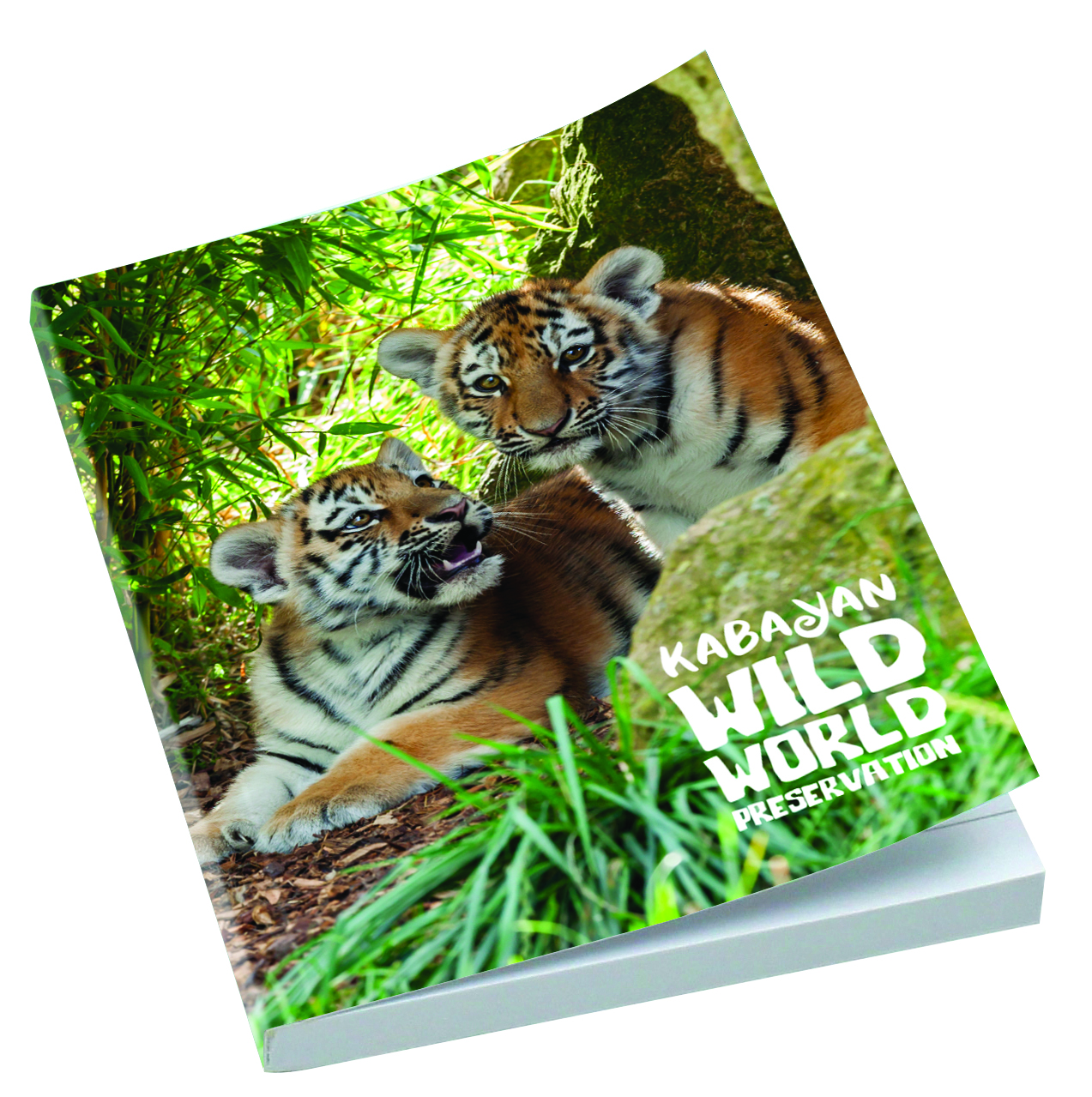Smart-Book - A6