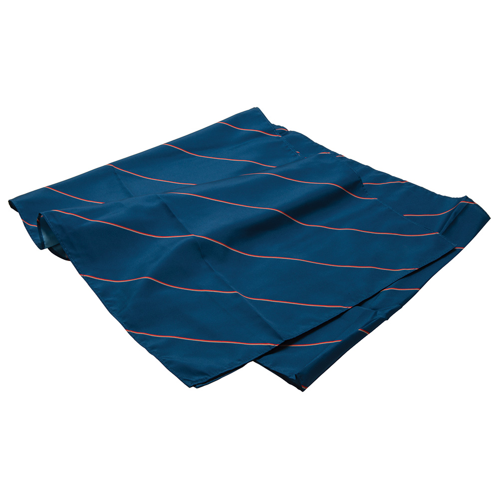 Printed Polyester Scarf (Square: 70X70Cm)