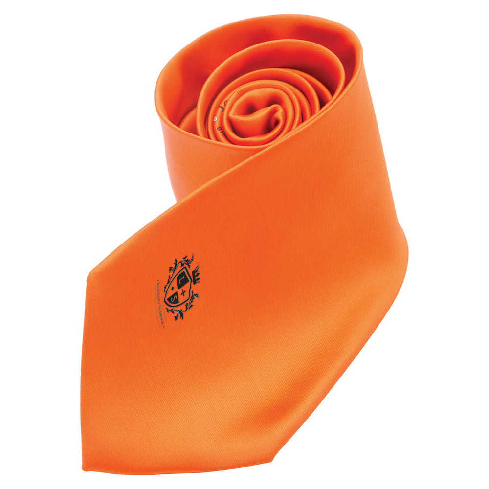 Printed Silk Tie (Screen Print)
