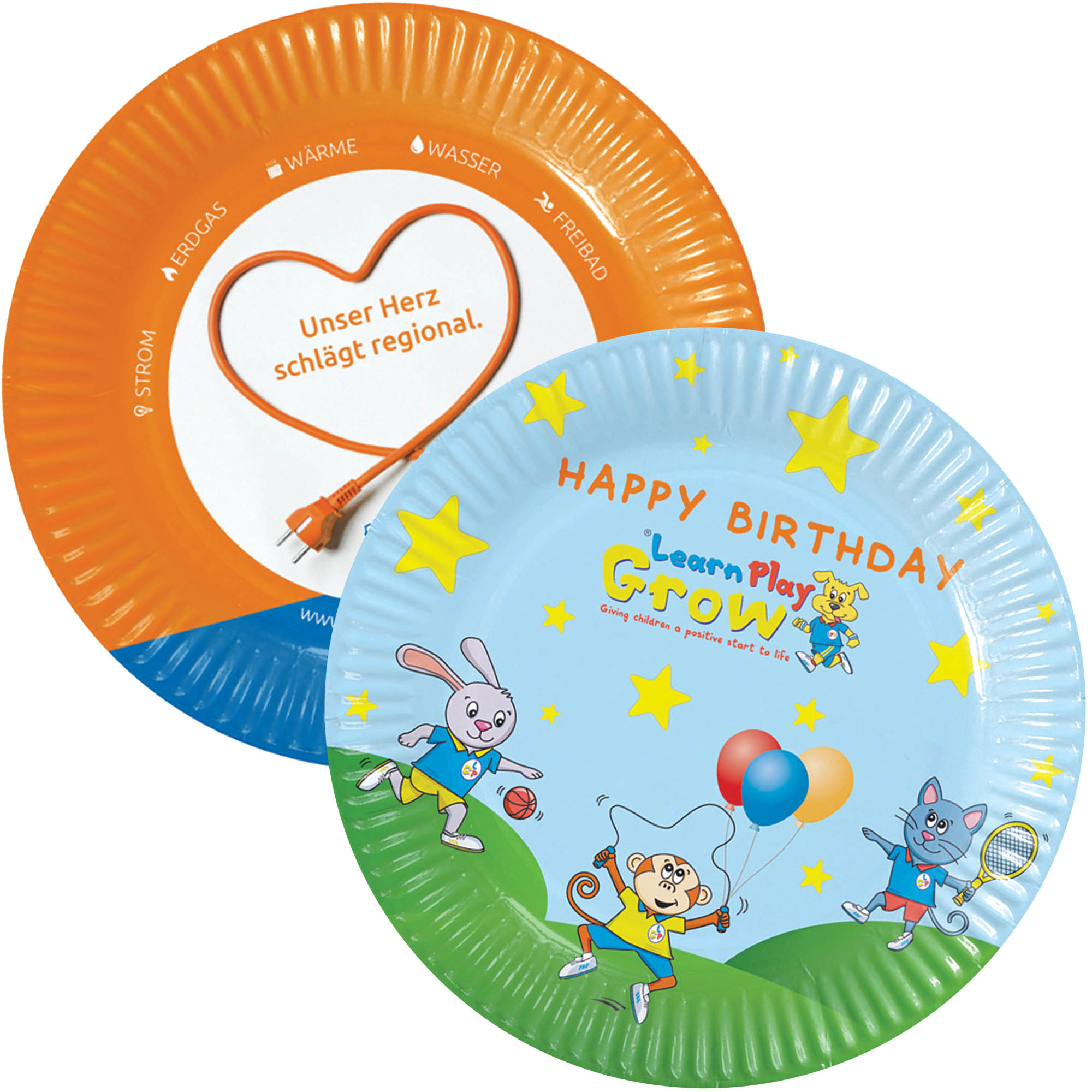 Disposable Paper Plate (9 Inch)