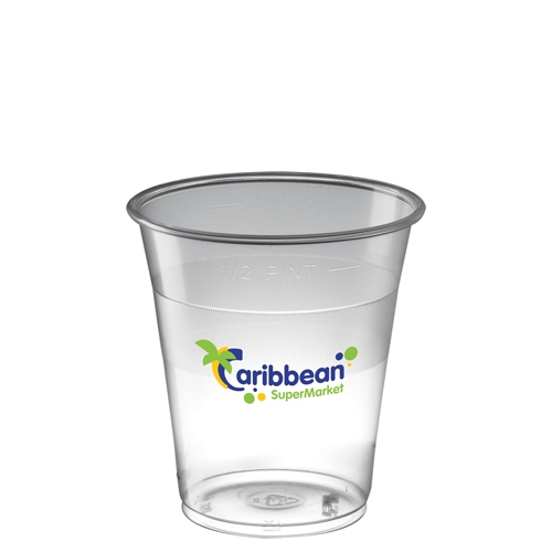 Disposable Plastic Tumbler (300ml/10oz) - Polypropylene