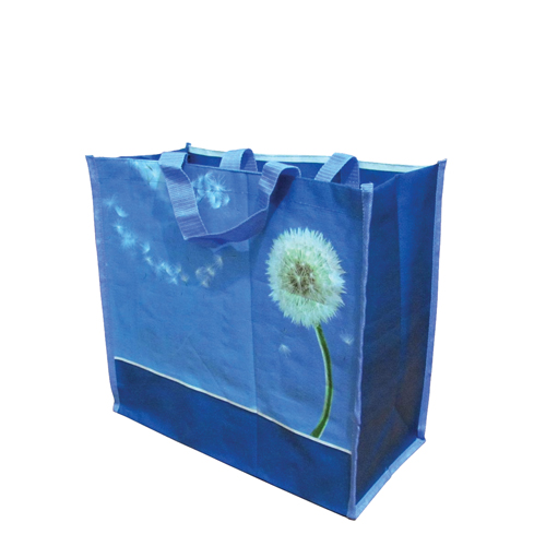 Pp Woven Bag - Large