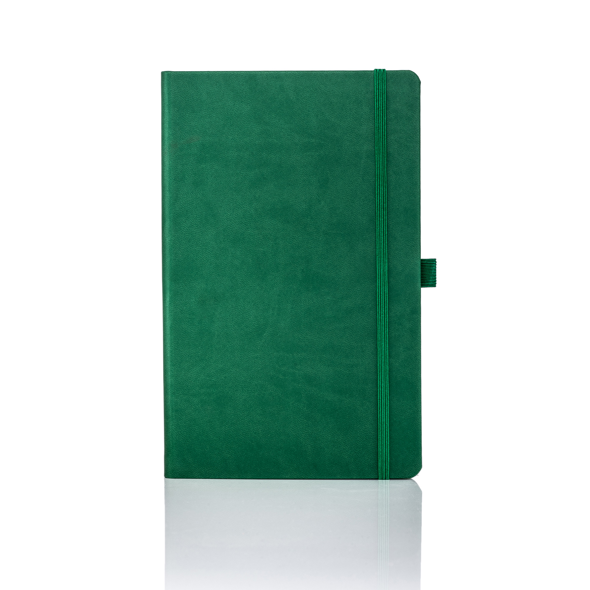 Castelli Medium Notebook Ruled Perforated Paper Tucson - Full Front Cover Digital Print