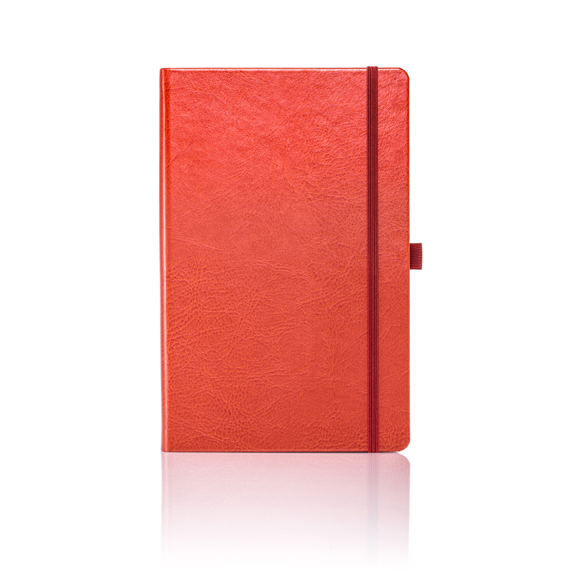 Castelli Medium Notebook Ruled Paper Sherwood - Full Front Cover Digital Print