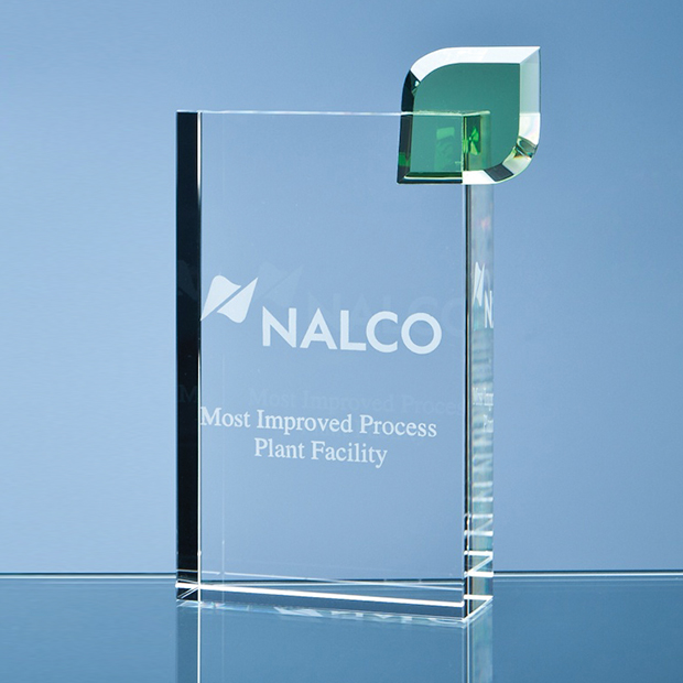 17cm Optical Crystal 'Eco Excellence' Award With A Single Green Leaf