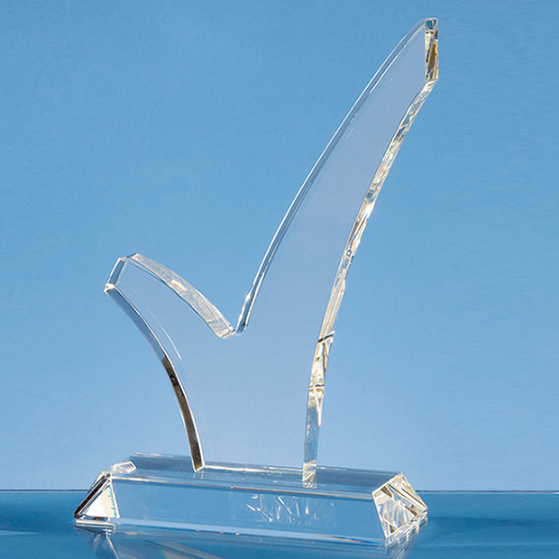 22.5cm Optical Crystal 'Tick' Award