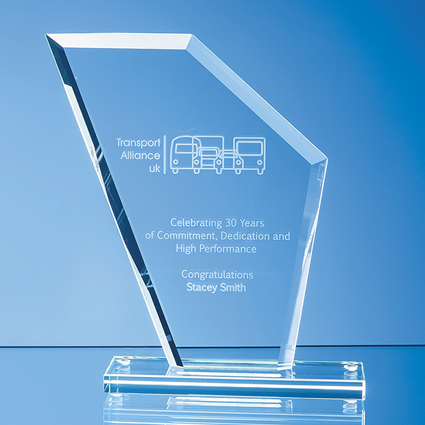 19.5cm X 16.5cm X 1cm Jade Glass Bevelled Edge Wing Award