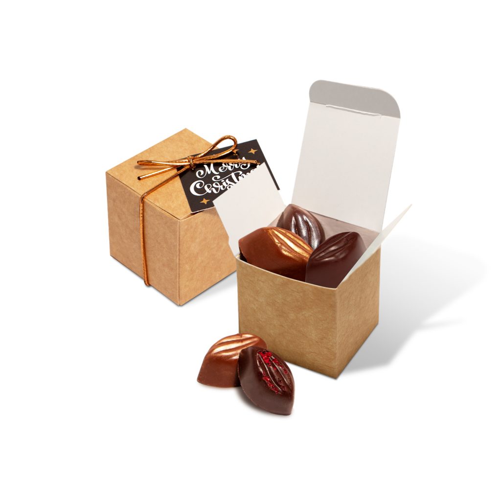 Winter Collection 2020 Eco Kraft Cube - Cocoa Bean Truffles