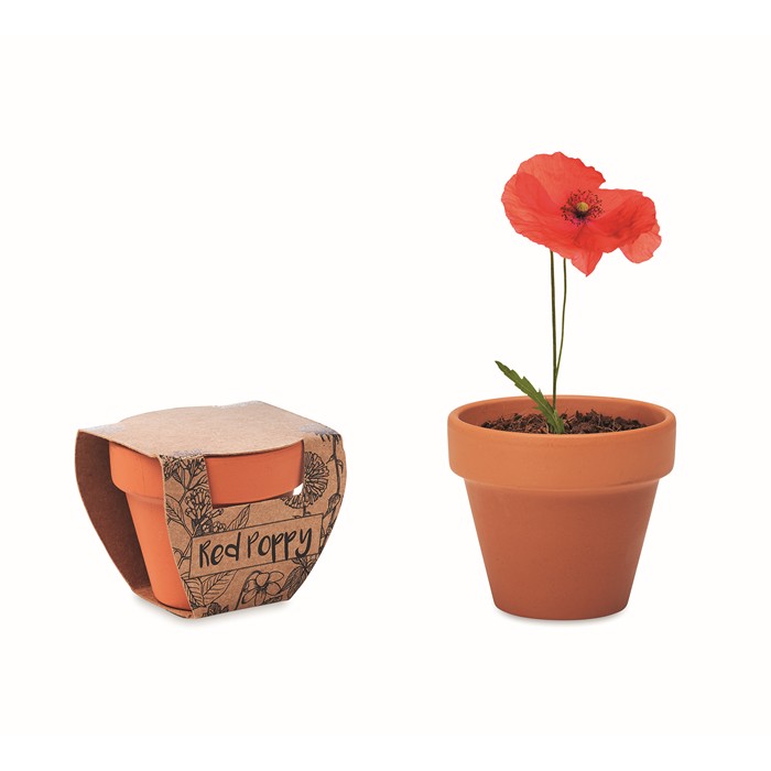 Red Poppy Terracotta Pot 'Poppy'