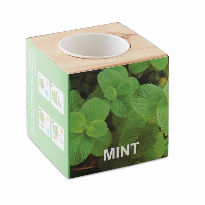 Menta Herb Pot Wood Mint