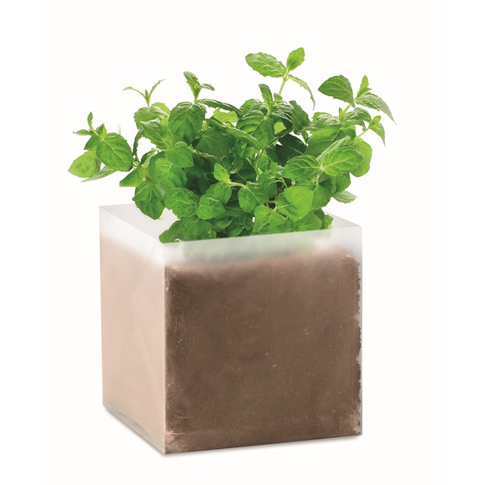 Mint Compost With Seeds Mint