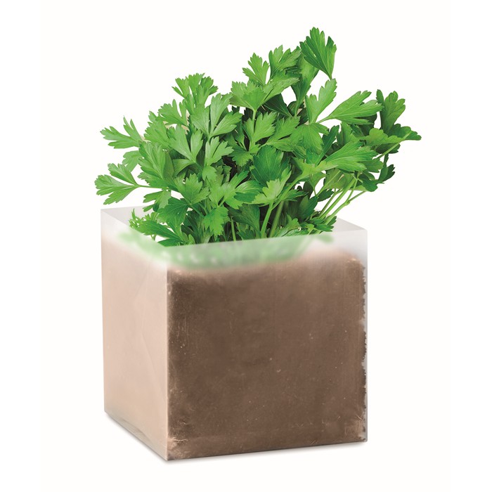 Parsely Compost With Seeds Parsley